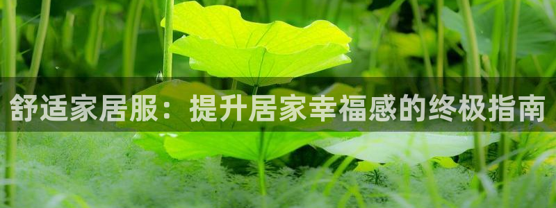 UG环球视讯