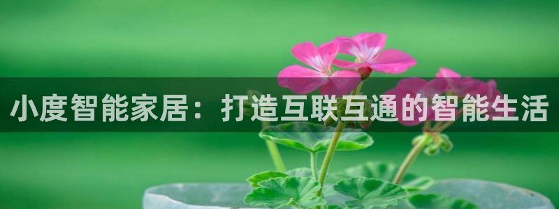 ug环球会员手机版下载