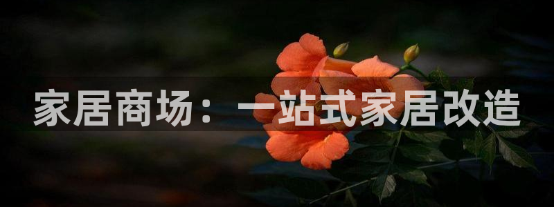 ug环球代理