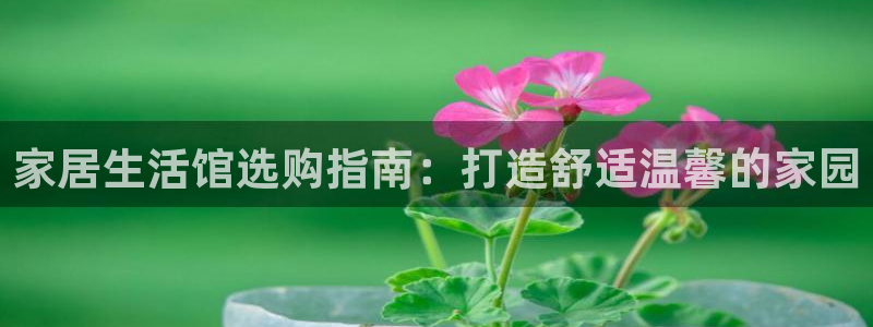 UG环球代理