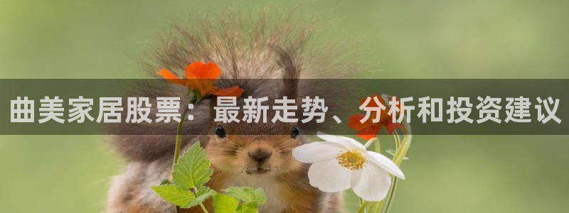 ug环球国际