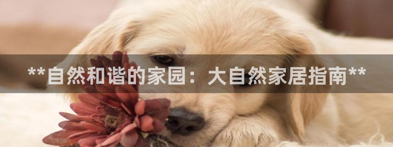 ug环球开户