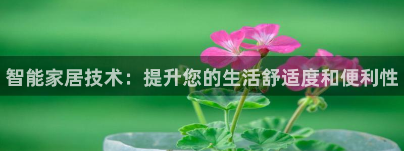 ug环球正网