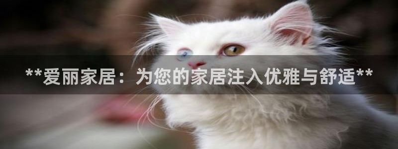 ug环球会员手机版下载