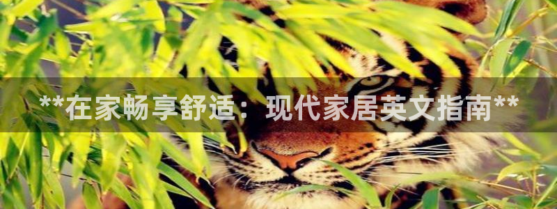 ug环球地址在哪里