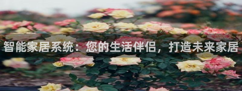 ug环球代理平台官网
