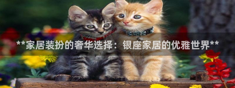 UG环球1比一