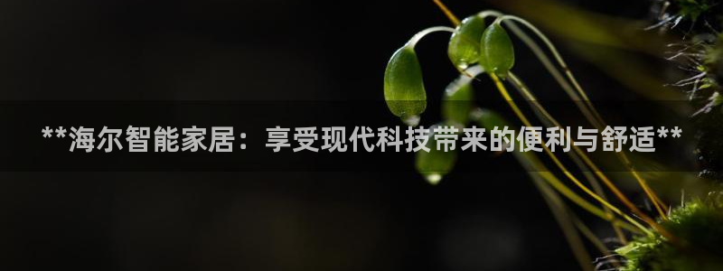 ug环球官网注册