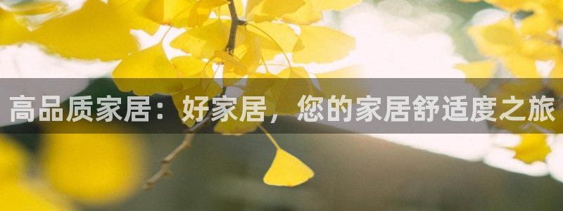 环球国际ug