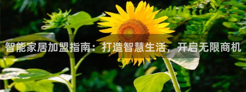 ug环球正网