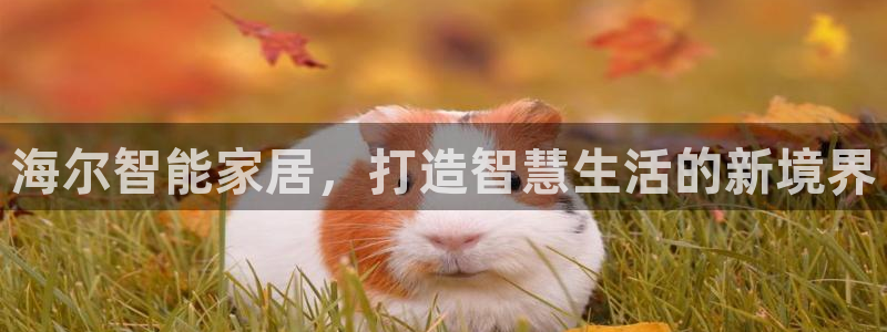 ug环球游戏网站官网
