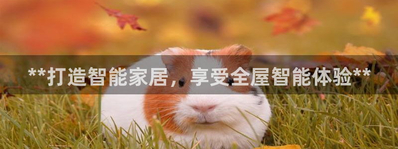 ug环球代理平台