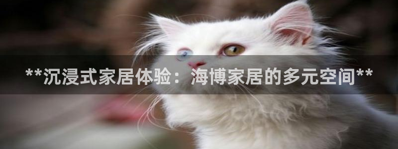 ug环球会员手机版下载官网