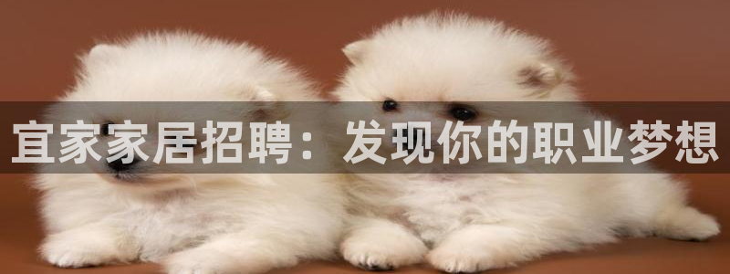 ug环球官网会员注册