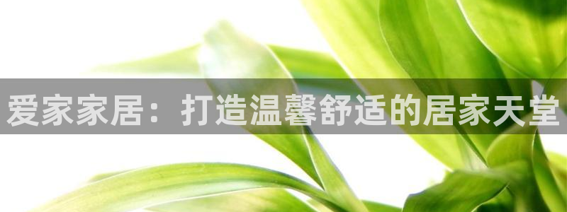 ug环球视讯