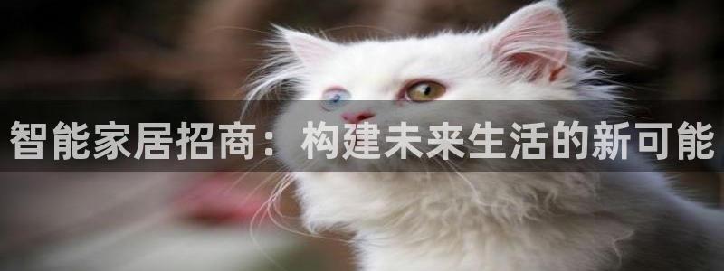 ug环球会员手机版下载