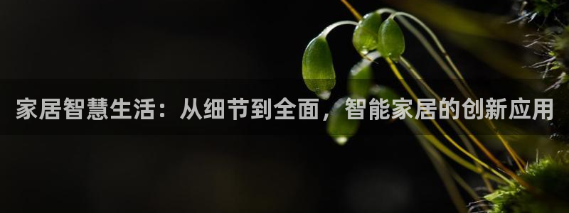 UG环球国际在线