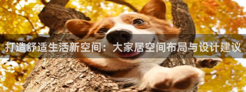 ug环球会员手机版下载