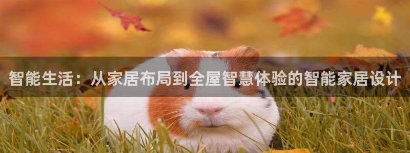 UG环球网一比一