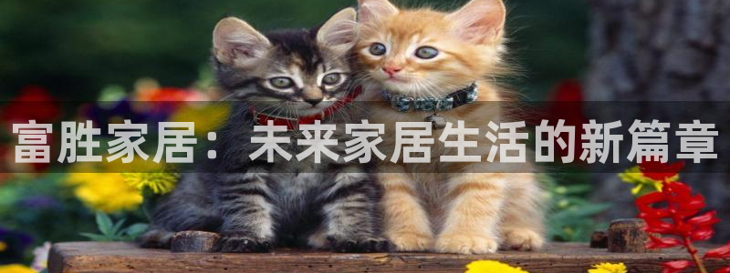 ug环球代理平台官网