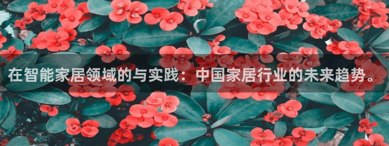 UG环球国际在线