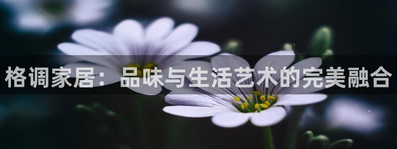 ug环球代理