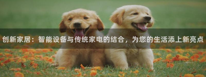 UG环球假网合作