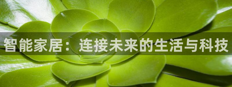 ug环球官网会员