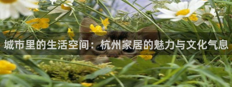 ug环球官网注册