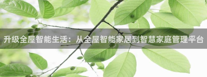 ug环球官网注册会员登录