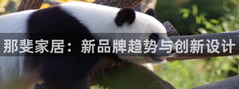 ug环球正网一比一