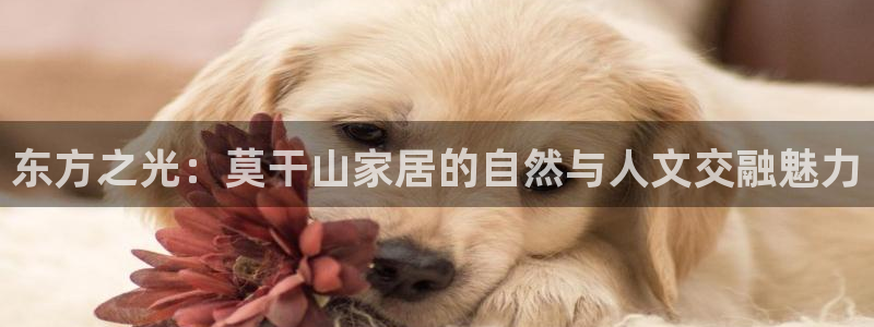 UG环球假网一比一包杀网