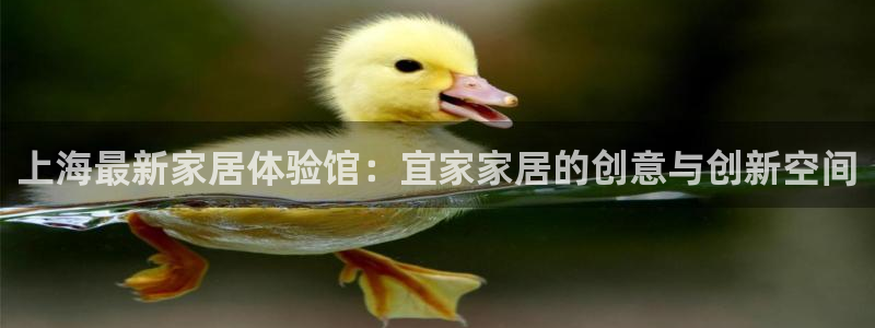 ug环球正网买分