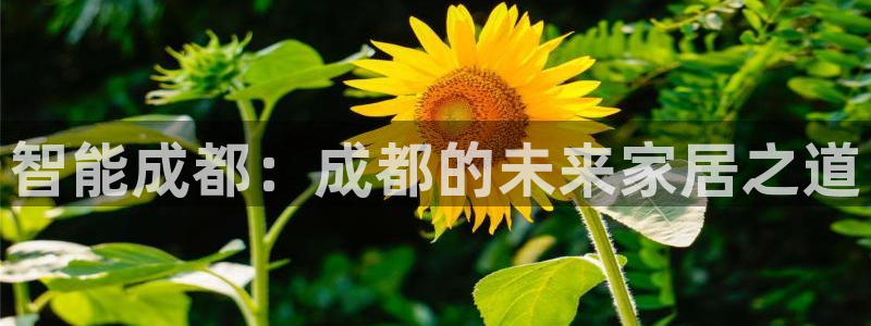 ug环球国际