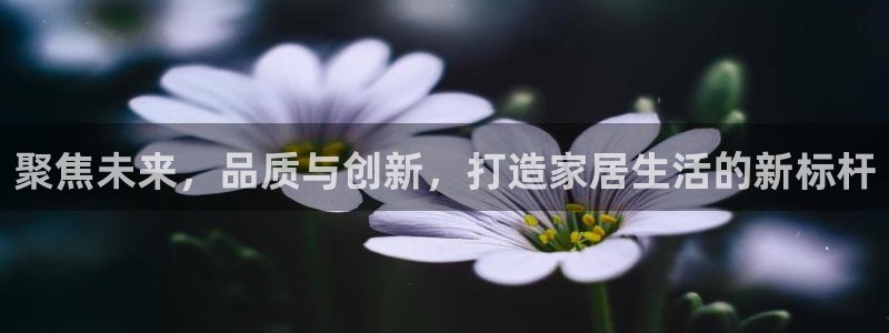 UG环球假网合作