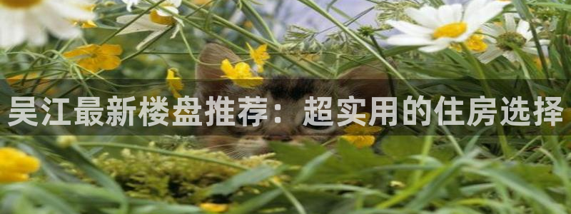 ug环球xkk908搜徽