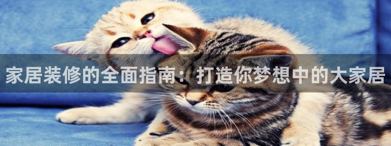 ug环球国际买分