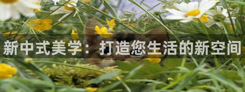 ug环球假网一比一