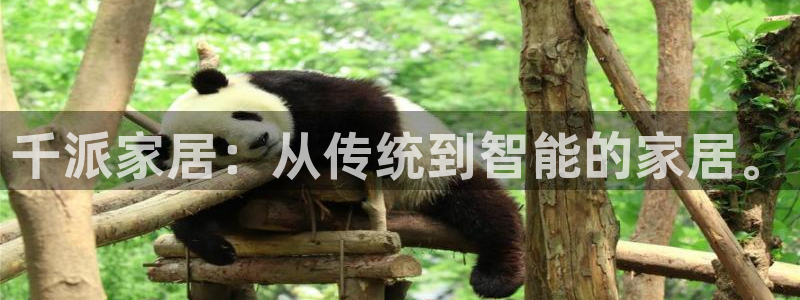 ug环球会员注册