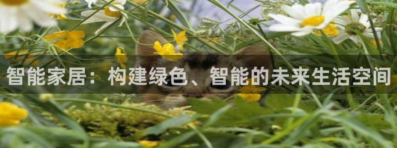 ug环球官网会员