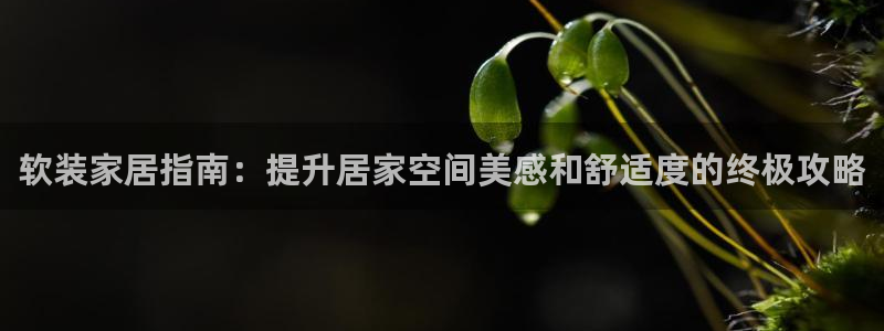 ug环球会员手机版下载官网