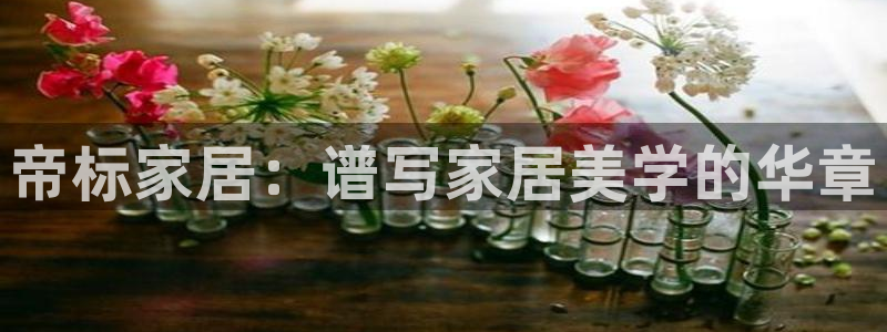 UG环球代理合作