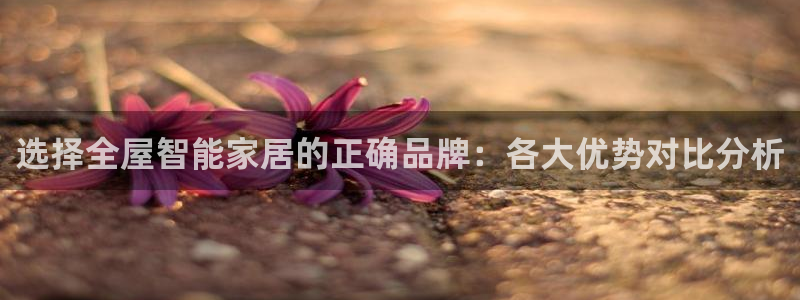 ug环球官网会员登录