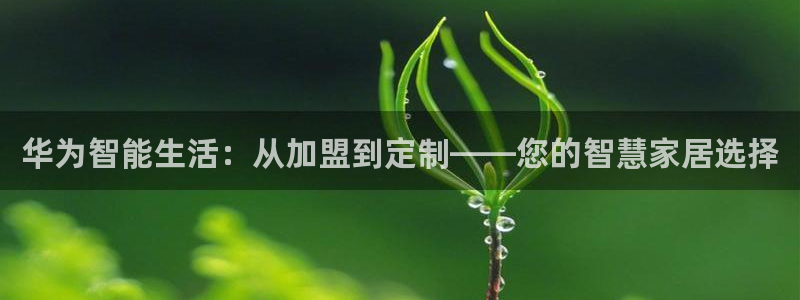 ug环球正网包杀：华为智能生活：从加盟到