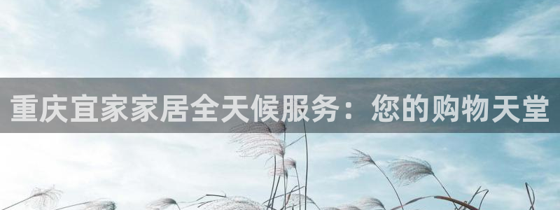 ug环球视讯充值：重庆宜家家居全天候服务