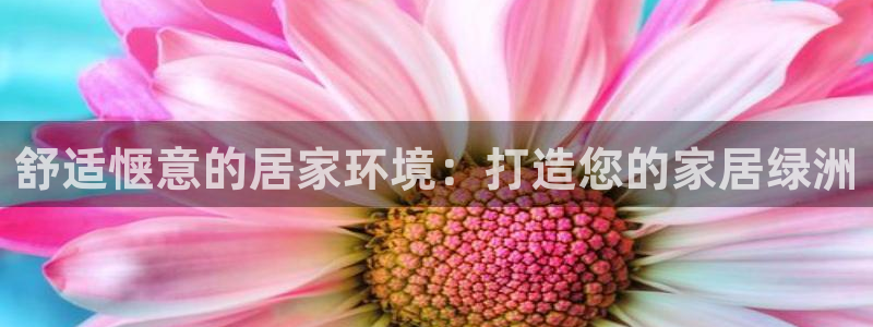 ug环球密码重置是多少位数：舒适惬意的居