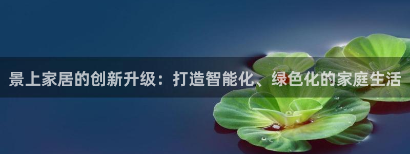 ug环球会员注册：景上家居的创新升级：打